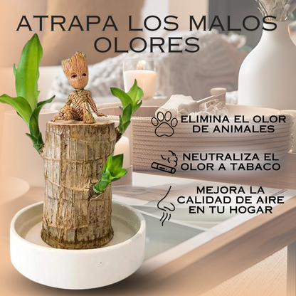 Purificador Ecológico